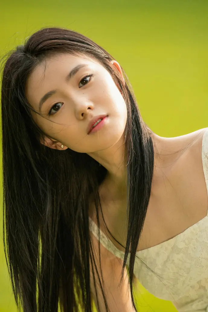 太阳起源示意图